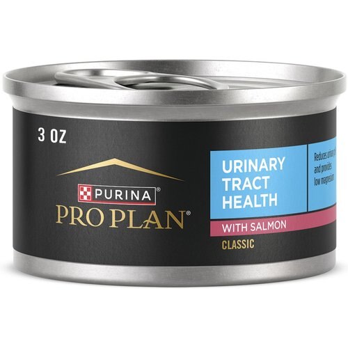 Purina Pro Plan Focus Adult Urinary Tract Health Formula with Salmon Classic Canned Cat Food