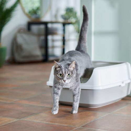 Frisco Open Top Cat Litter Box With Rim, Large 19-in